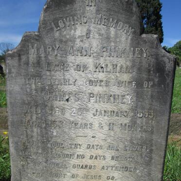 PINKNEY Mary Ann -1895
