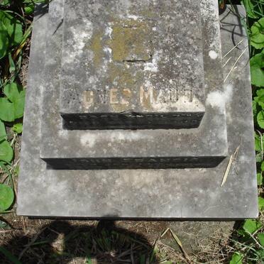 PANNEWITZ Agnes Maud -1908 :: PANNEWITZ John Francis -1910