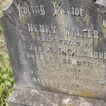 TECKLENBURG Henry Walter 1898-1899