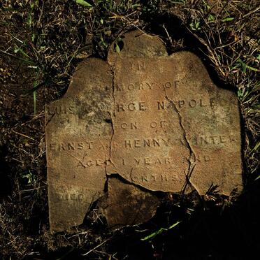 WINTER Luis George Napoleon -1879