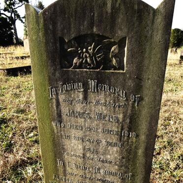 WEBB James -1919 & Aletta Johanna M. -1941