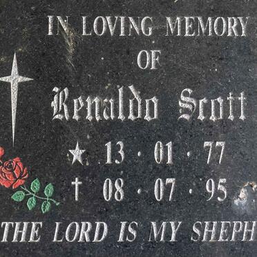 SCOTT Rinaldo 1977-1995