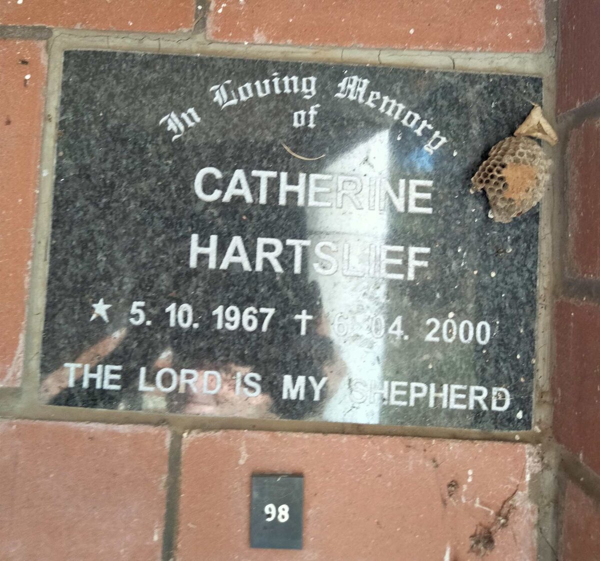 HARTSLIEF Catherine 1967-2000
