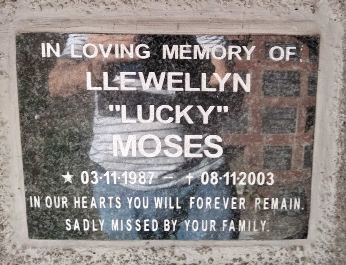 MOSES Llewellyn 1987-2003
