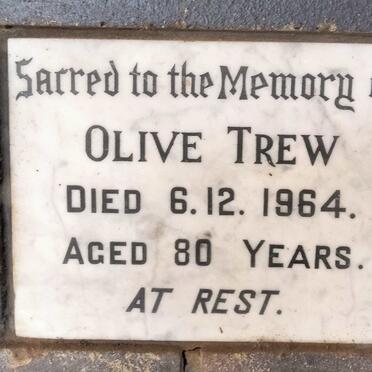 TREW Olive -1964