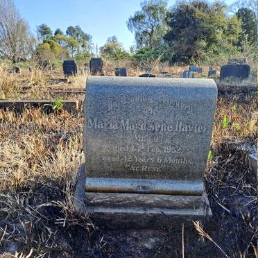 HAYTER Maria Magdelene -1952