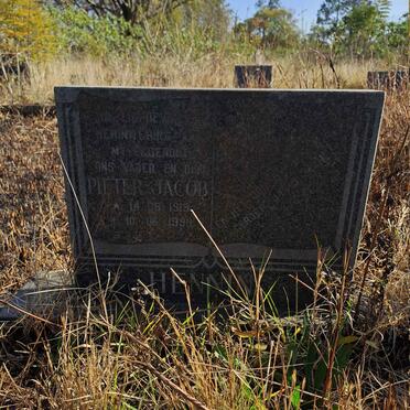 HENNING Pieter Jacob 1919-1998