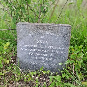 LIVINGSTONE Sara -1953