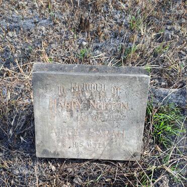 NORTON Harry & Alice Sarah