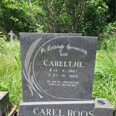 ROOS Carel 1967-1985
