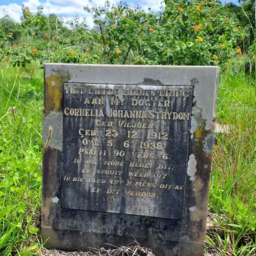 STRYDOM Cornelia Johanna nee VILJOEN 1912-1938