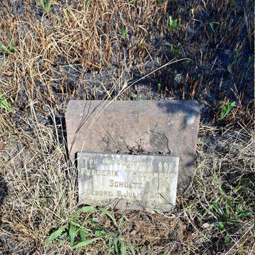 SCHOLTZ Frederik Theodorus 1866-1952