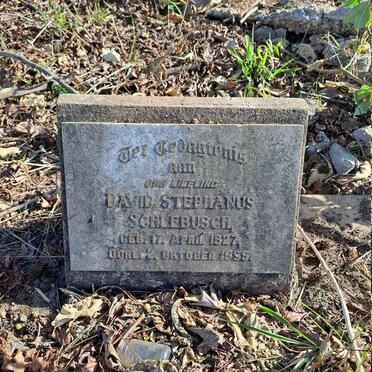 SCHLEBUSCH David Stephanus 1927-1955