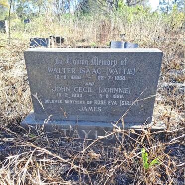 TAYLOR Walter Isaac 1888-1968 :: TAYLOR John Cecil 1893-1968