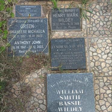 WILDEY :: GREEN :: V.D. BYL_2