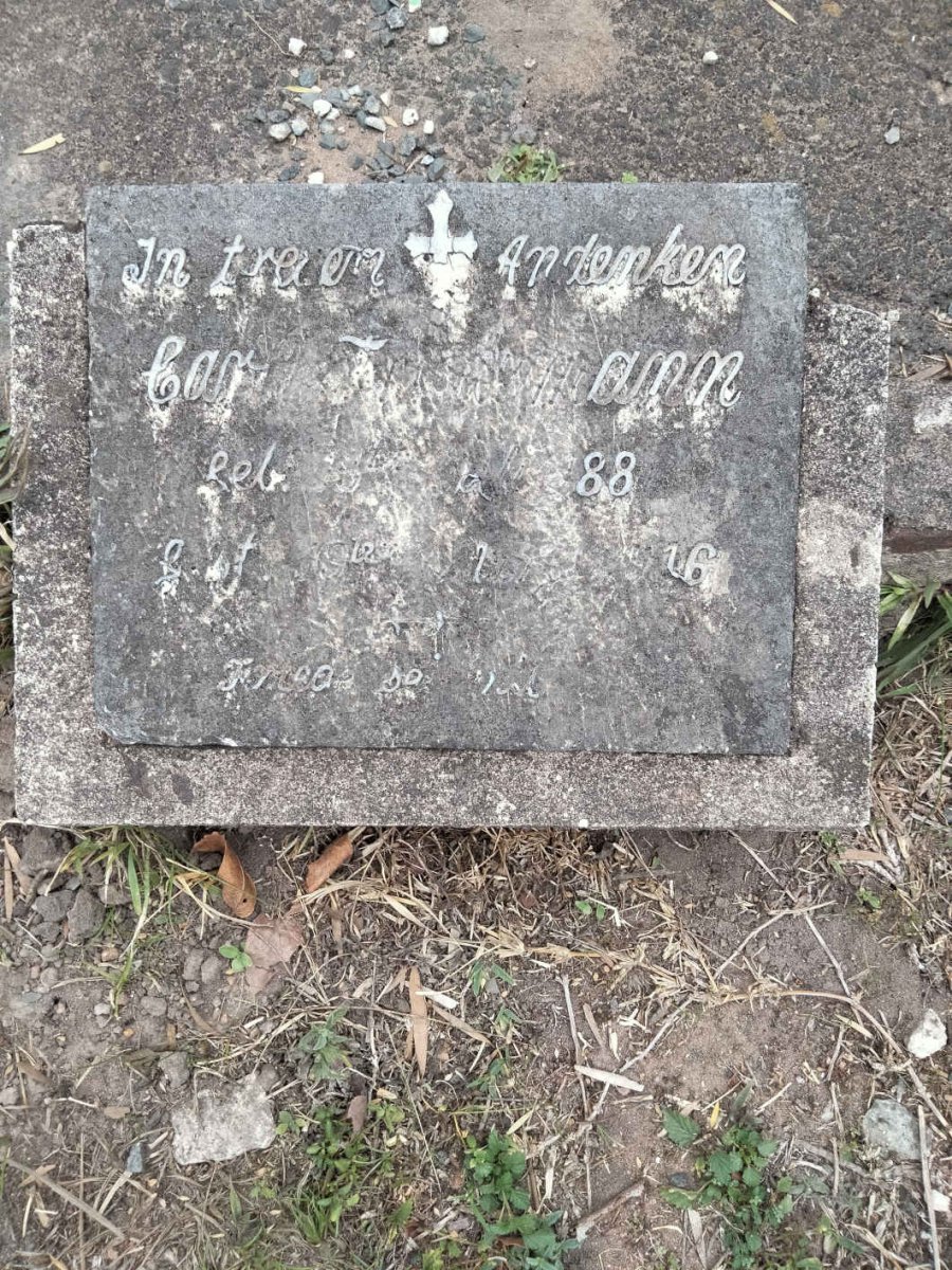 FRIEDEMANN Carl 1884-1916