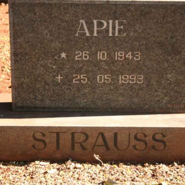 STRAUSS Apie 1943-1993 