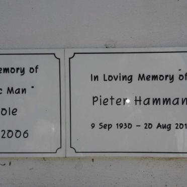 HAMMAN Pieter 1930-2011