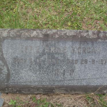 MORGAN Effie Annie 1893-1975