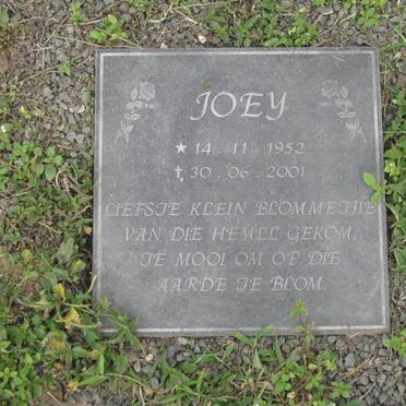 ?? Joey 1952-2001