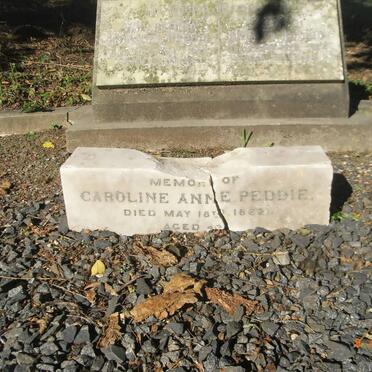 PEDDIE Carolina Anne -1882 :: PEDDIE Willhemina -1952