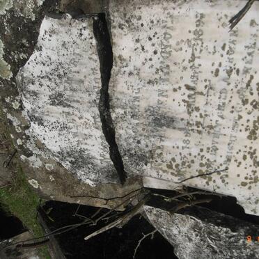 PENNINGTON ? 1896-1897