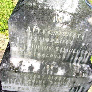 SAMUELSON Paul Julius 1869-1890