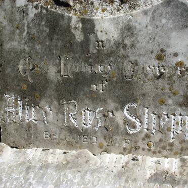 SHEP?? Alice Rose -1984