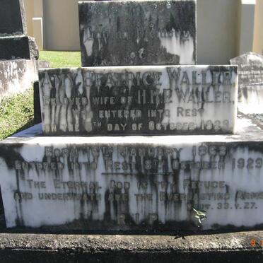 WALLER Amy Beatrice 1868-1929