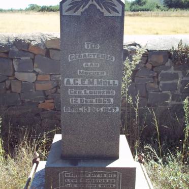 MOLL A.C.E.M. nee LOURENS 1869-1947