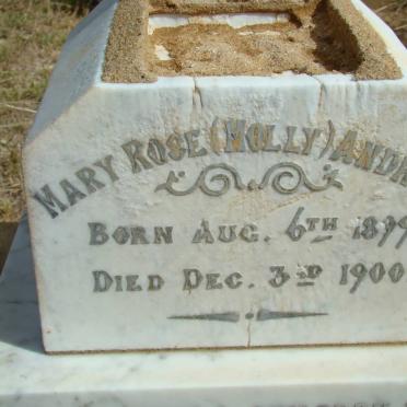 ANDREWS Mary Rose 1899-1900