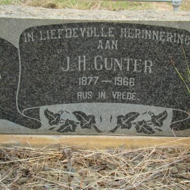 GUNTER J.H. 1877-1966
