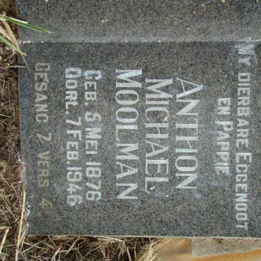 MOOLMAN Anthon Michael 1876-1946