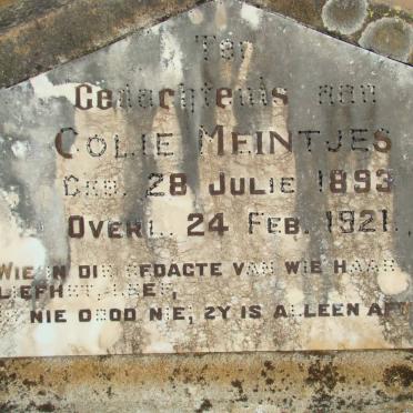 MEINTJES Colie 1893-1921