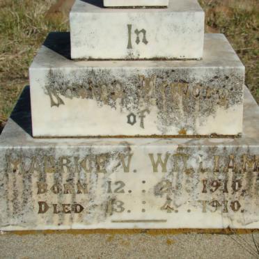 WILLIAMS Maurice V. 1910-1910