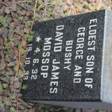 MOSSOP David James 1932-1933