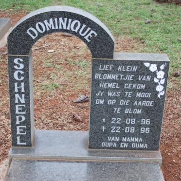 SCHNEPEL Dominique 1996-1996