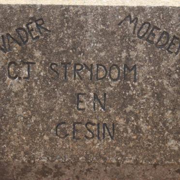 STRYDOM C.J. 