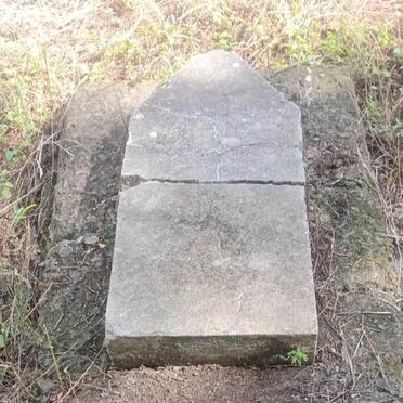 BUYS Cecilia Johanna Jacoba nee NEL 1860-1899. 