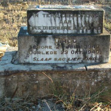PRINSLOO Dirco 1947-1947