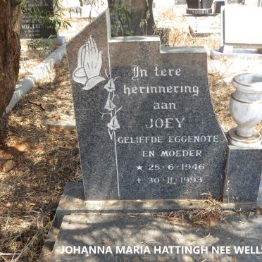 HATTINGH Johanna Maria nee WELLS 1946-1993