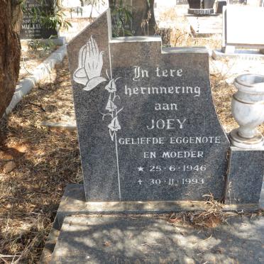 HATTINGH Joey 1946-1993 _2