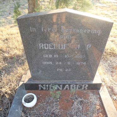 NIENABER Roelof J.P. 1907-1974
