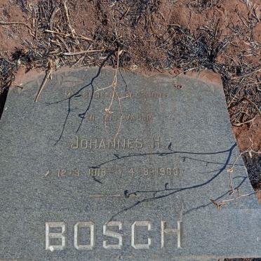 BOSCH Johannes H. 1919-1963