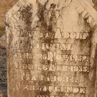 BOTHA David Adolf Michal 1932-1933