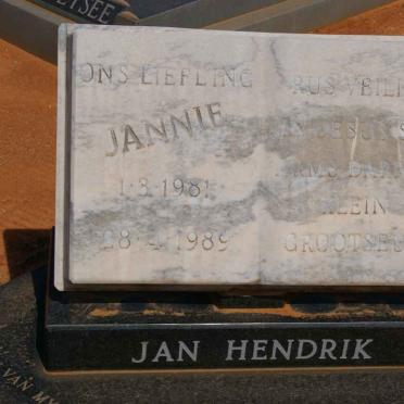 HOMAN Jan Hendrik 1981-1989
