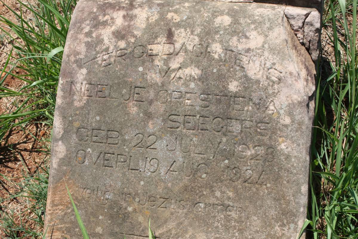 SEEGERS Neelje Crestiena 1923-1924