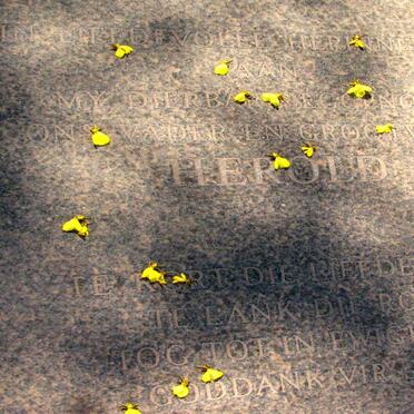 RIET Herold, van der 1912-1990