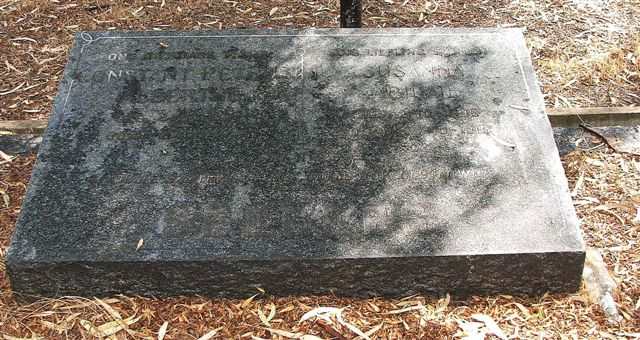 SEEGERS Constant Petrus, Susanna ?