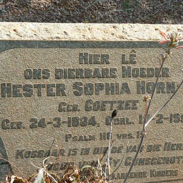 HORN Hester Sophia nee COETZEE 1884-1955